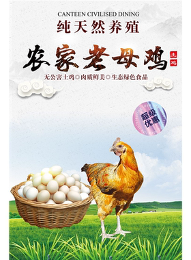 农村散养土鸡蛋装饰画自粘贴画超市店铺土鸡蛋海报宣传广告墙贴