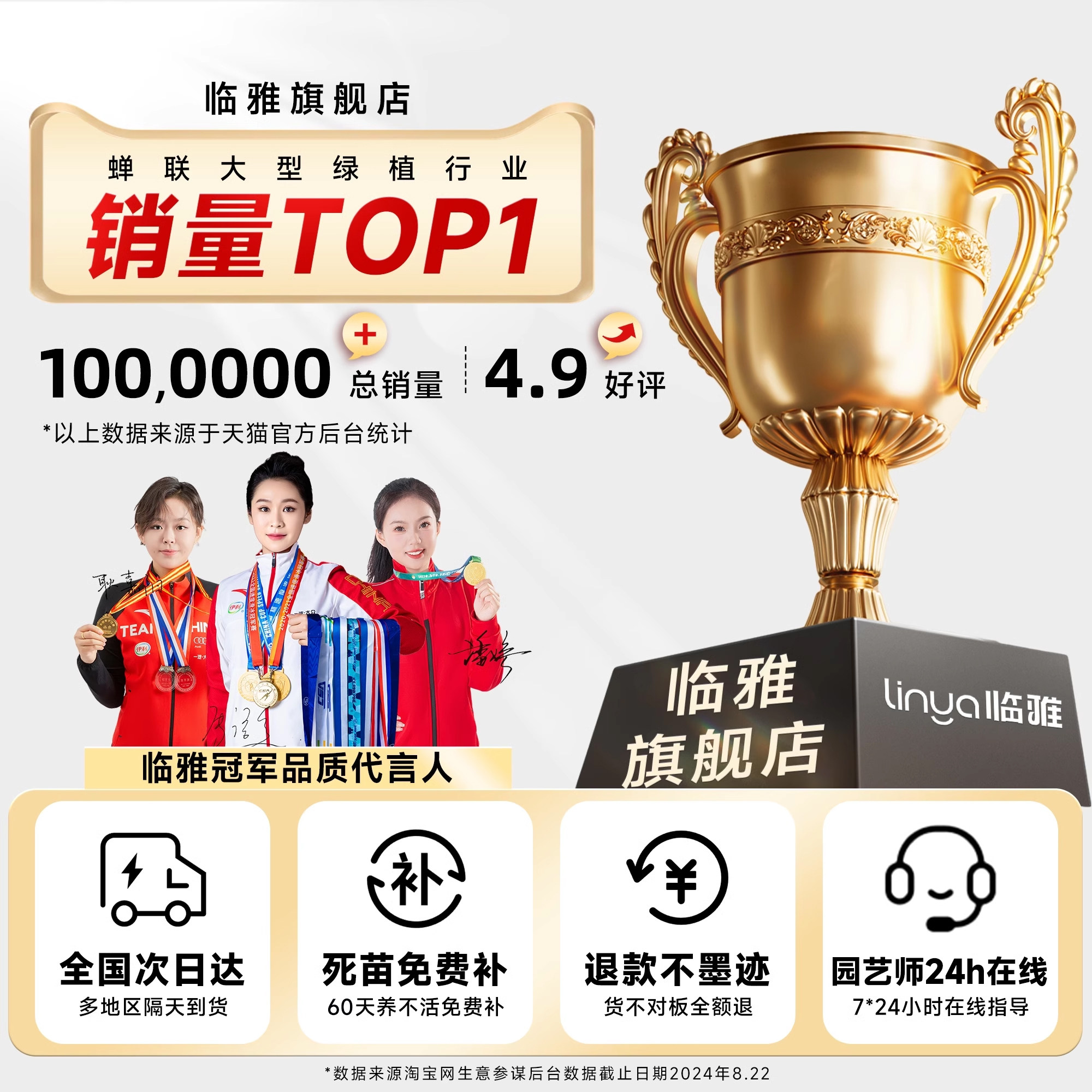 鸭脚木客厅大盆栽八方来财真造型绿植鸭掌木鹅掌柴室内落地式植物,淘宝优惠券,粉丝福利购,淘宝优惠卷