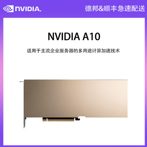 英伟达（NVIDIA） A10 24GB 安培架构 光线追踪显卡 专业运算卡 - 图0