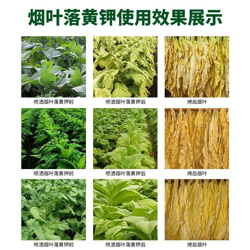 专用肥憨烟落黄素烤烟落黄钾烟叶生物烤黄剂烤立黄落黄专用叶面肥 - 图1