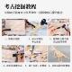 2nd Grade Science Dinosaur Fossil Archaeological Digging Toy