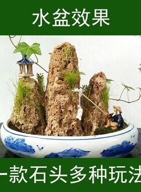 极速15-c20厘米吸水石麦管原石假山盆景装饰摆饰鱼缸造景微景观上