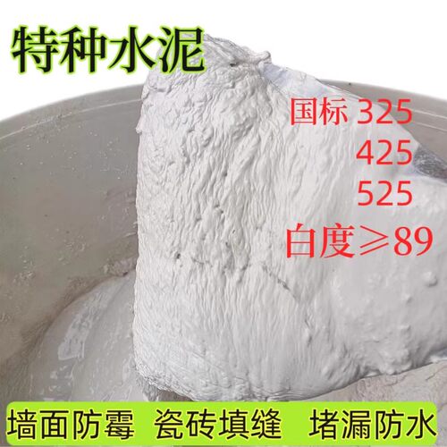 525高强度白水泥白色水泥325地面修补速干防水家用快干瓷砖填缝剂 - 图0