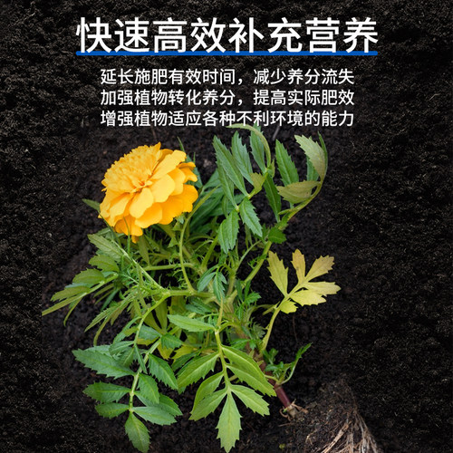 花多多1号500g花多多2号肥料花多多水溶肥一号二号12号15号通用型 - 图2