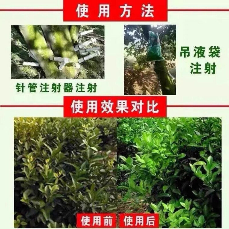 果树黄龙RO病S溶水柑橘脐橙黄龙病黄化症ROS黄龙病ROS一217ROS217