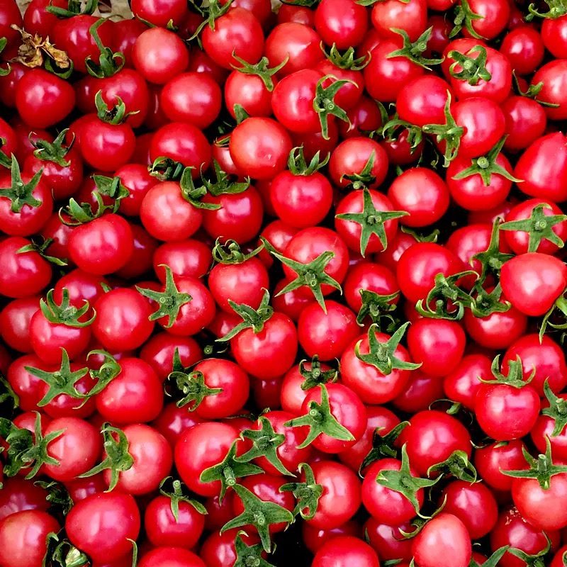 新鲜现摘圣女果小番茄广西当季水果千禧农家自种自然熟樱桃小番茄,淘宝优惠券,粉丝福利购,淘宝优惠卷