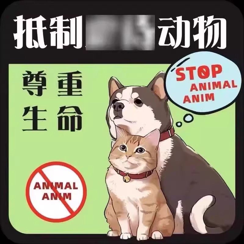 反对伤害动物车贴呼吁保护动物车贴贴纸个性创意车贴防水宠物贴,淘宝优惠券,粉丝福利购,淘宝优惠卷