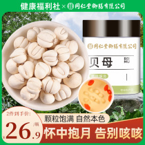 Tongrentang fritillaria Big Good River Mountain Sichuan Fritillary Grain Dry Powder Non Songbei Herb medicinal herbs Dried Orange Peel Cream