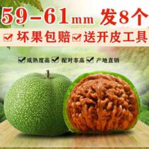 Vin Playing Walnut Old Tree Clams Head Green Leather 4-seat Lions Head Millstones Palace Lantern to play with extra-large Kirin Tattoo Guan Hat