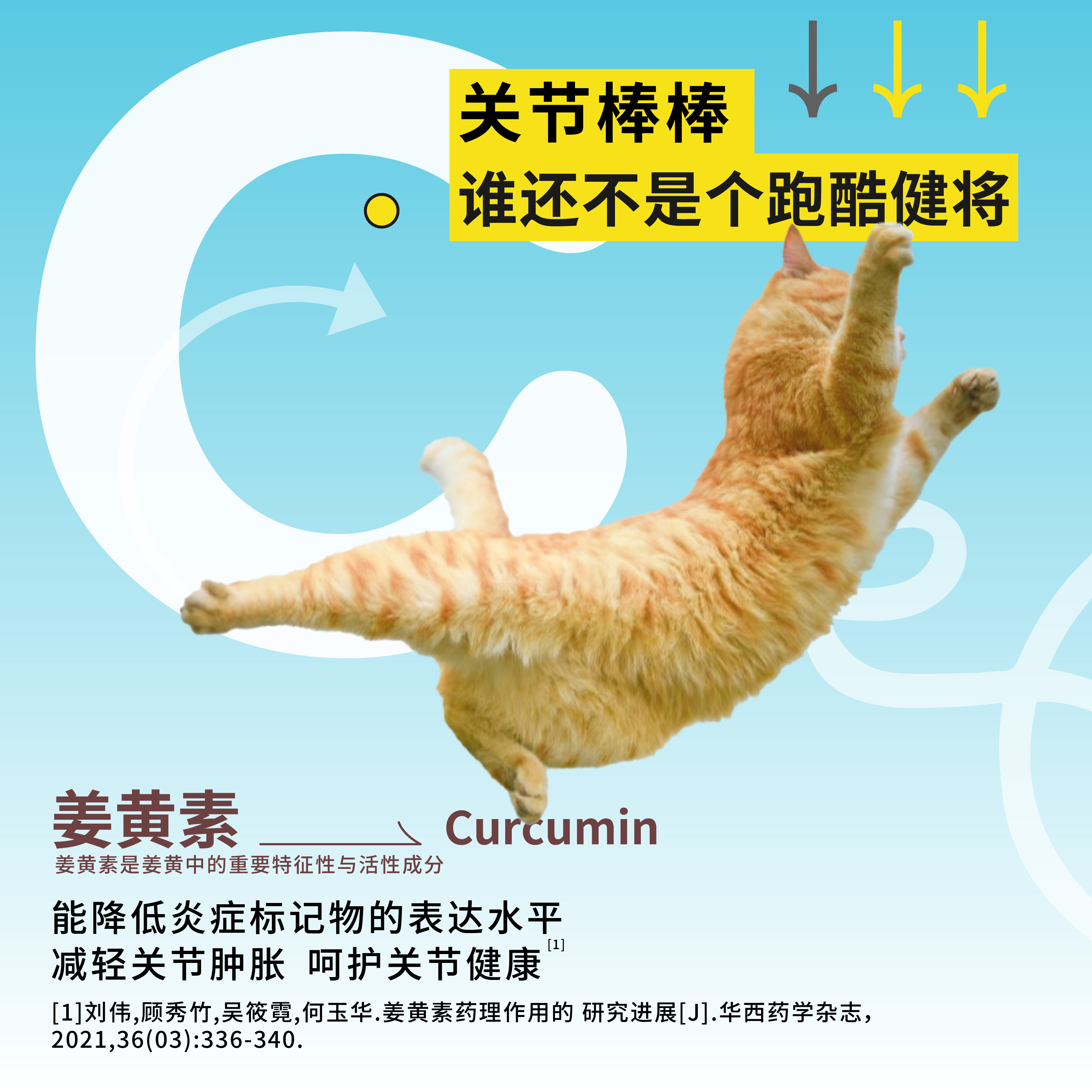 一口小方宽猫条主食猫条营养增肥发腮幼猫三文鱼猫条25g*6包-图1