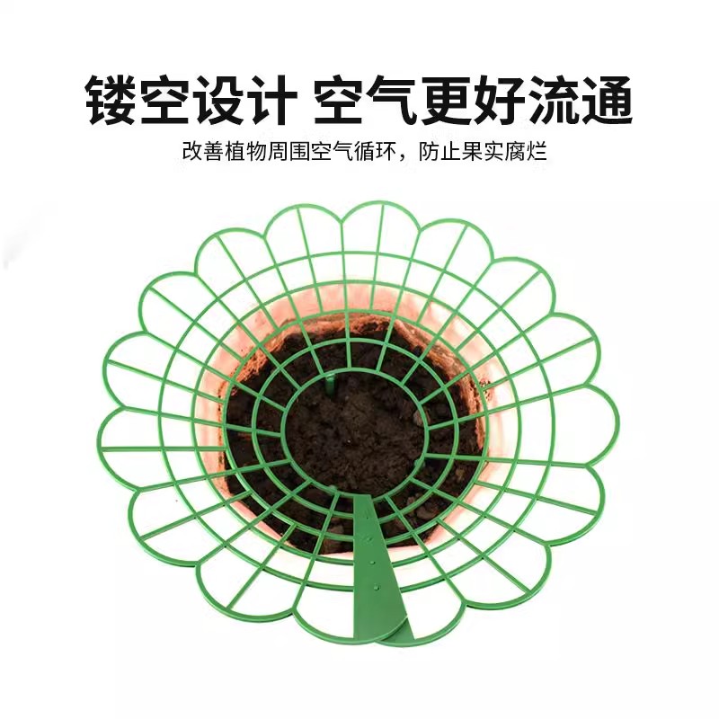 草莓托果网支架架方形草莓盆栽种植架子花架家庭秧苗支撑架防腐烂 - 图0
