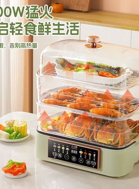 德国多功能电蒸锅大容量12英寸鱼盘放上蒸下煮多功能自动断电干烧