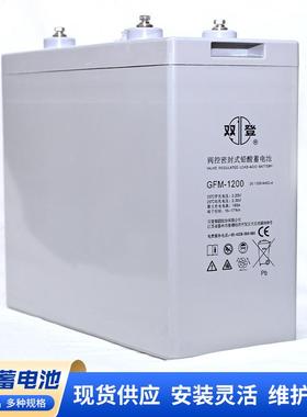 双登GFM-200铅酸免维护蓄电池2V200Ah太阳能UPS不间断电源蓄电池