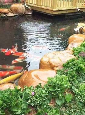 英德天然黄蜡石刻字石校训石头公司招牌石村牌石