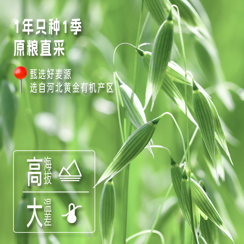 金味有机纯燕麦礼盒装营养早餐懒人健身即食速溶冲泡代餐燕麦片