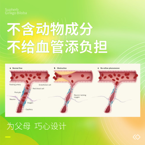 【自营】素赫伯Supherb营养大脑增强补脑专注记忆力银杏叶提取物 - 图0