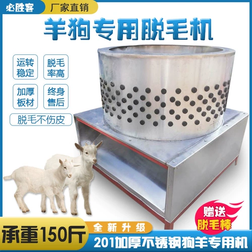 Одноразовая собака после мао -ду -дог собаки собачья линия густой гус