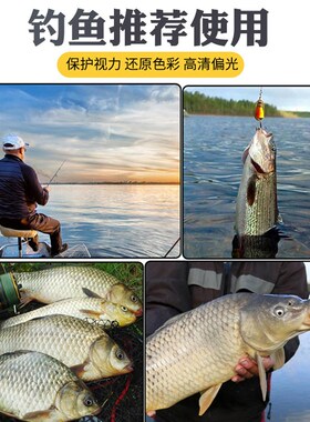 钓鱼眼镜看漂偏光晰看水底鱼观漂可视开车专用眼睛变色墨镜男款