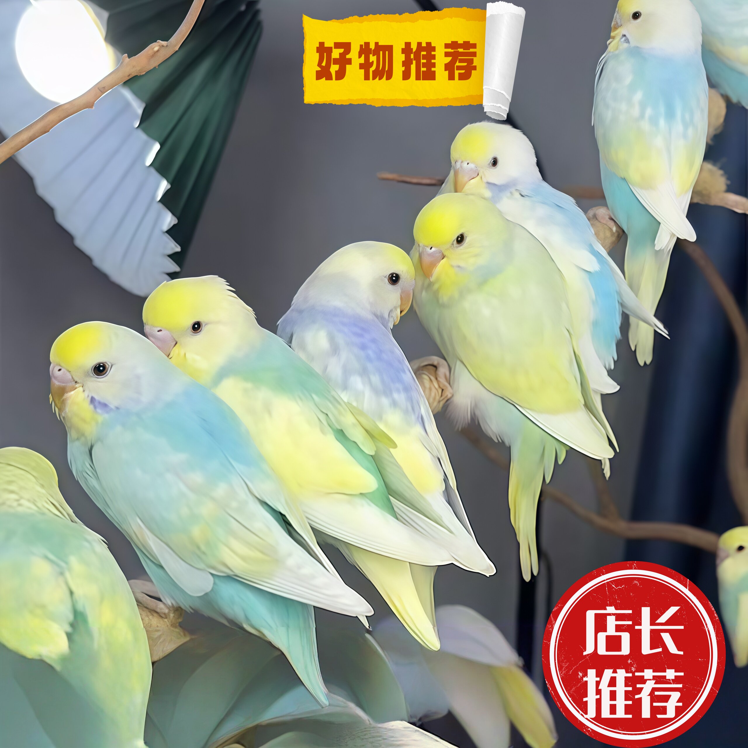 图5