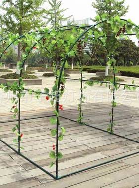 植物爬藤架百香果楼顶爬藤架葡萄攀藤架植物攀爬园艺支架大棚骨架