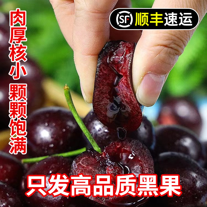  聚牛果园车厘子/樱桃