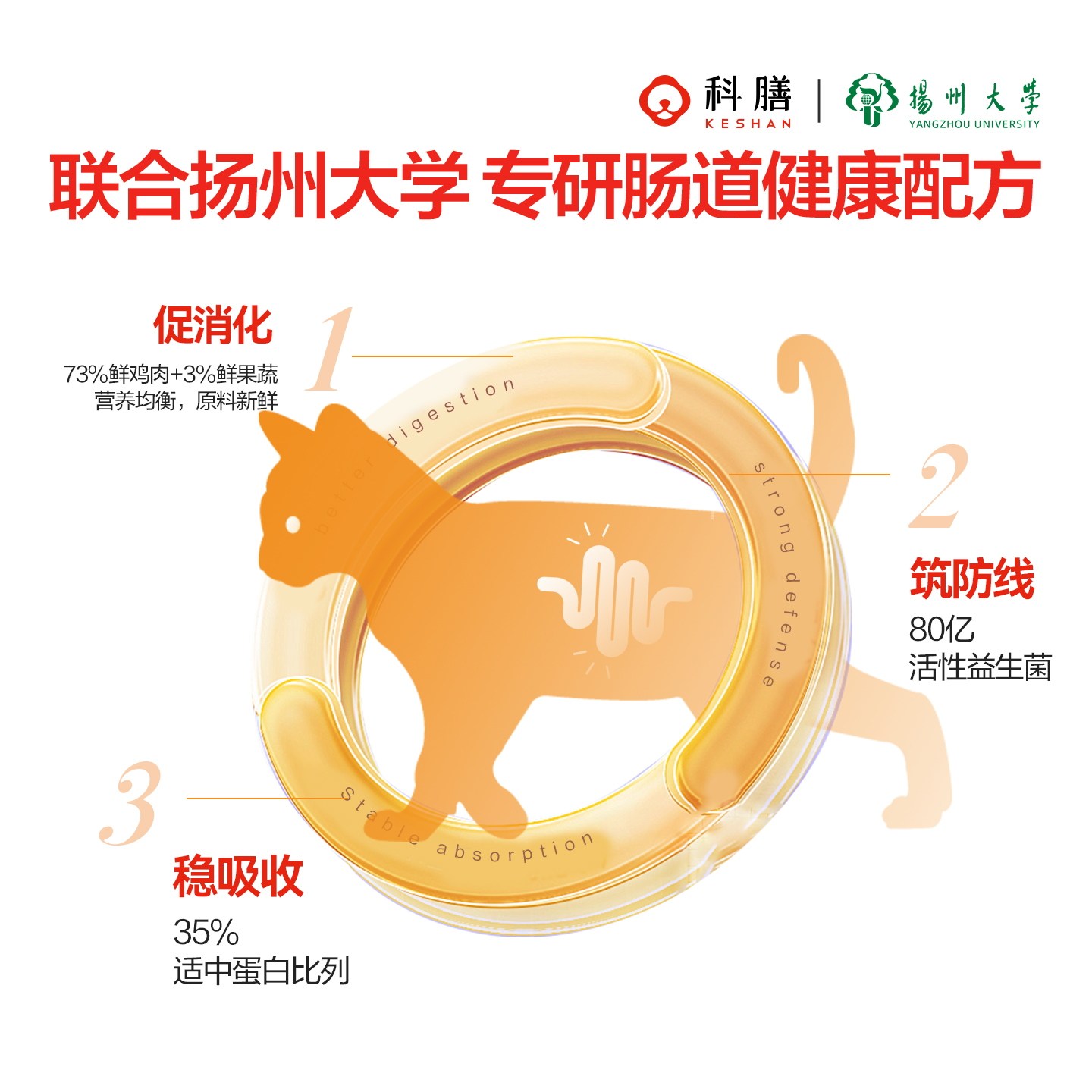 科膳K35全价低温鲜肉烘焙猫粮轻脂0软便无谷宠物主粮成猫幼猫试吃