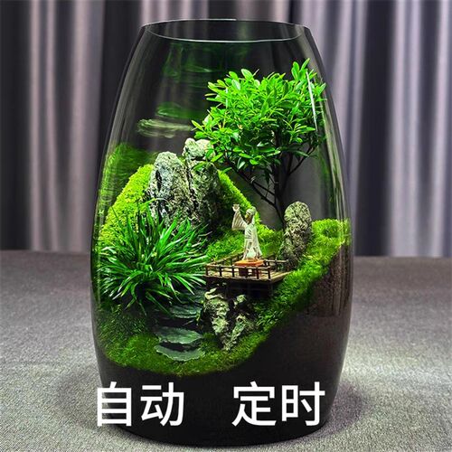 养鱼缸生态微景观苔藓办公室桌面微景观绿植盆景生态瓶缸绿植造景 - 图0