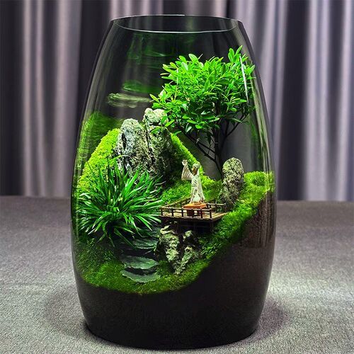 养鱼缸生态微景观苔藓办公室桌面微景观绿植盆景生态瓶缸绿植造景 - 图2