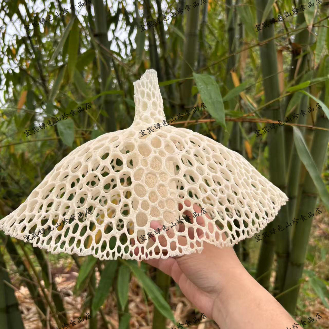 四川宜宾蜀南竹海宜宾特产长裙竹荪干货净重煲汤火锅佳品50g,淘宝优惠券,粉丝福利购,淘宝优惠卷