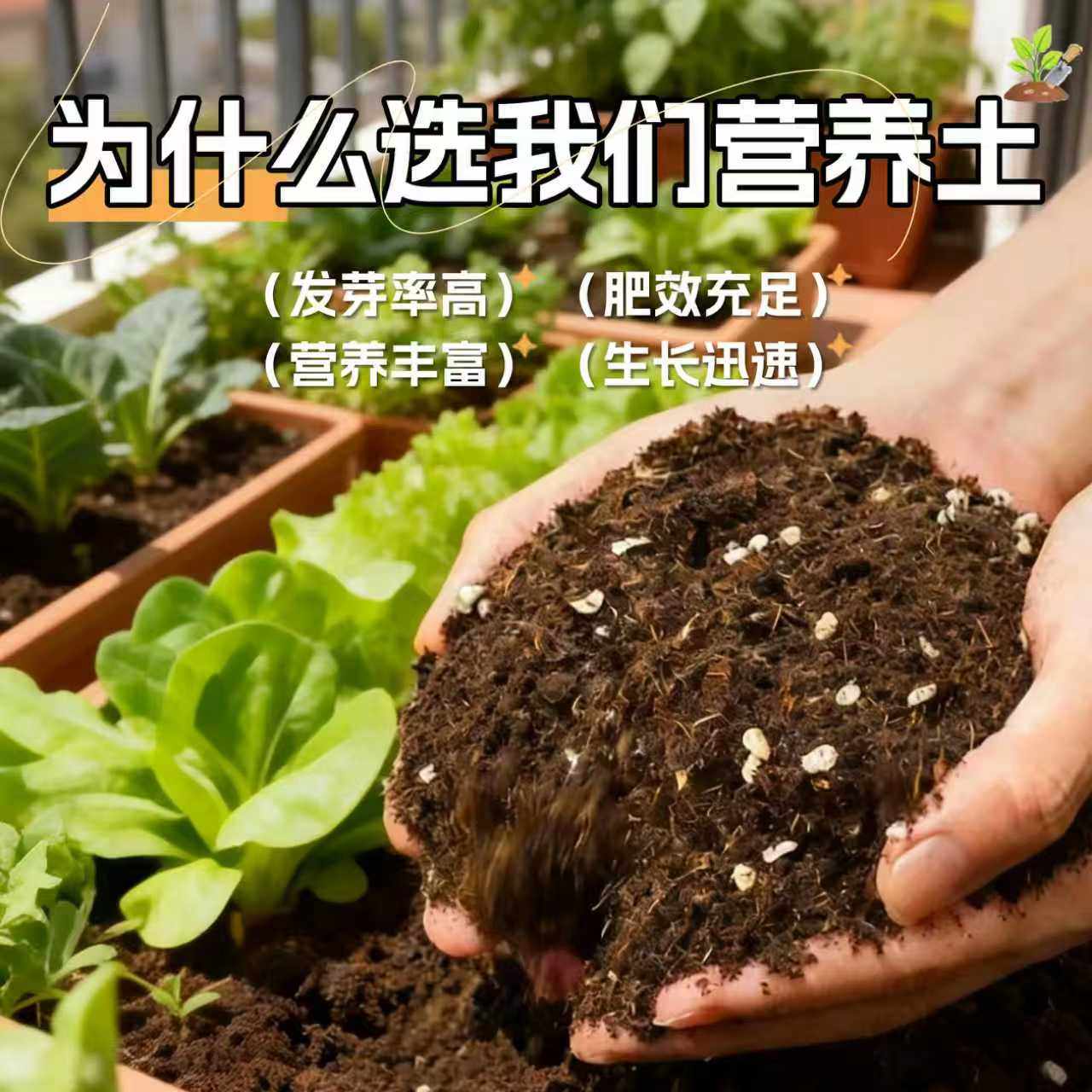 营养土养花通用专用有机种菜土疏松透气轻质土阳台花土土壤种植土,淘宝优惠券,粉丝福利购,淘宝优惠卷