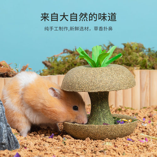 仓鼠粮食苹果核磨牙棒金丝熊解闷营养小零食磨牙玩具造景用品大全 - 图0