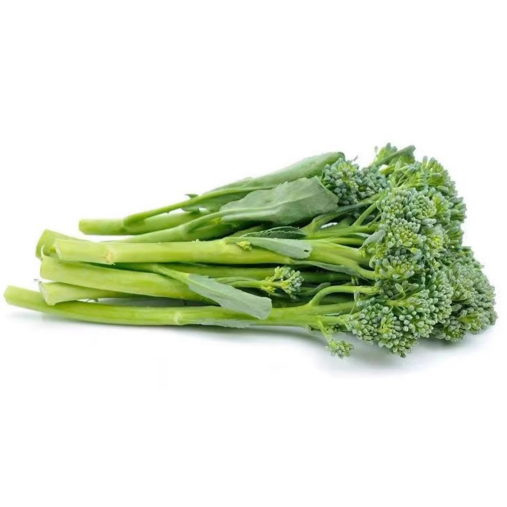 正宗西兰苔苗秧苗西蓝花芥蓝苗西洋芥兰苗四季菜园庭院秋冬季种植,淘宝优惠券,粉丝福利购,淘宝优惠卷