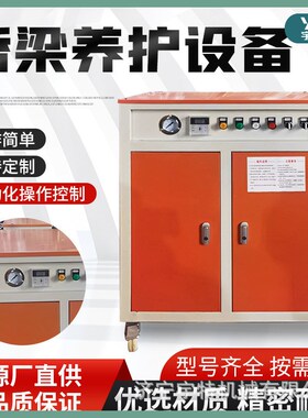 预制混凝土蒸养设n备电加热桥梁养护器全自动冬季养护蒸养机