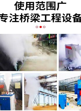 桥梁蒸汽养护发生器电动柴油可选预制箱梁冬Q季蒸汽加热加温设备
