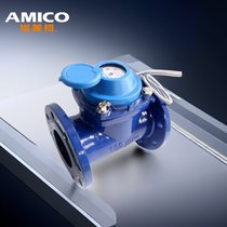 Emeke Distant Biography Water Meter Dry Iron Shell Flange Pulse Watch Crosswalk Straight Read Computer Reading Dry Spring Hall