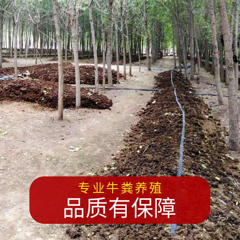 蚯蚓活饵大号特大鲜活红虫诱饵鲫鱼散装钓鱼饵料垂野钓盒装蚯蚓粪,淘宝优惠券,粉丝福利购,淘宝优惠卷