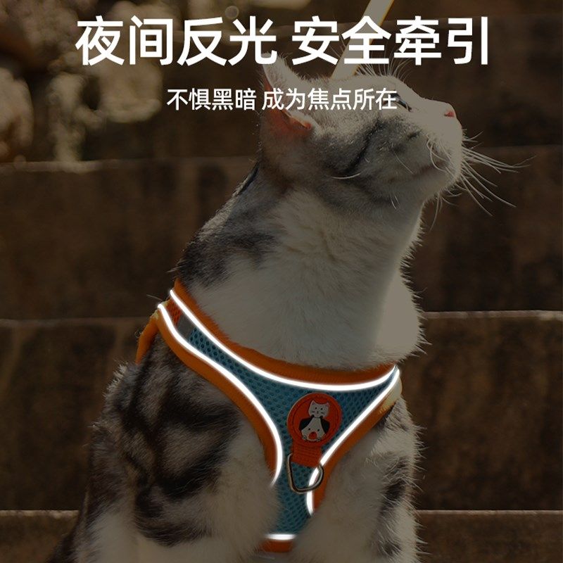 猫咪牵引绳防挣脱专用猫绳小型犬胸背带绳子溜猫绳宠物牵狗绳遛狗,淘宝优惠券,粉丝福利购,淘宝优惠卷