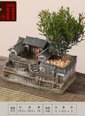 文竹盆景植物室内小盆栽客厅v办公室桌面微景观造景老房子模型摆