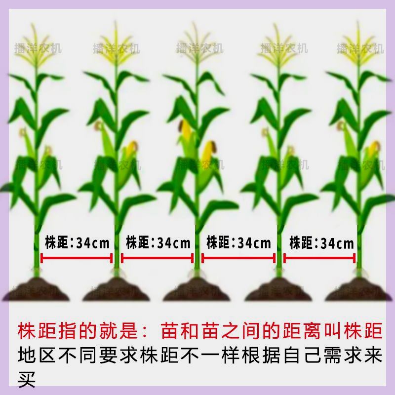 玉米播种机点播机人工种地播种器花生黄豆多功能精量点播种植机器 - 图1