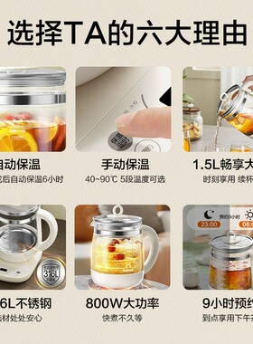 【高性价比】多功能花茶养生壶