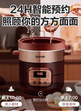 苏泊尔电炖锅家用紫砂锅大容量煲汤炖汤锅多功能全自动6升电砂锅