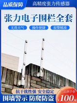 Tension Electronic Fencing System Pull Stress Complete of Anti-theft Wall 46 Line Single Double Prevention Zone Host instrumental Control lever