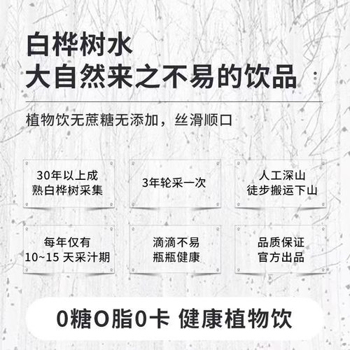 白桦树汁100%原汁天长白山然桦树原液植物饮料150ml整箱装旗舰店 - 图1