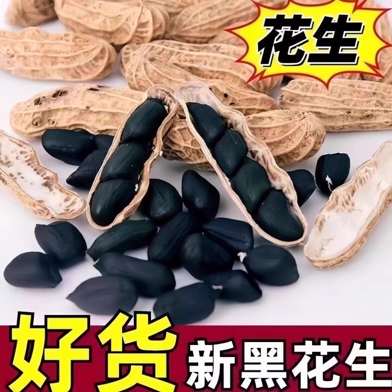 原味富硒黑花生带壳小粒黑花生味甜黑皮花生米500g云南特产黑花生 - 图2