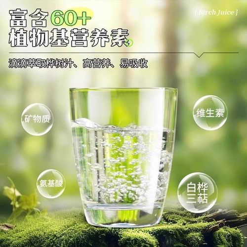 白桦树汁100%原汁无糖天然原液长白山白桦树汁纯木本植物饮桦树水 - 图2