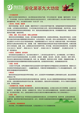 安化黑茶海报展板黑茶的保健功效茶马古道墙贴墙纸安化黑茶挂图