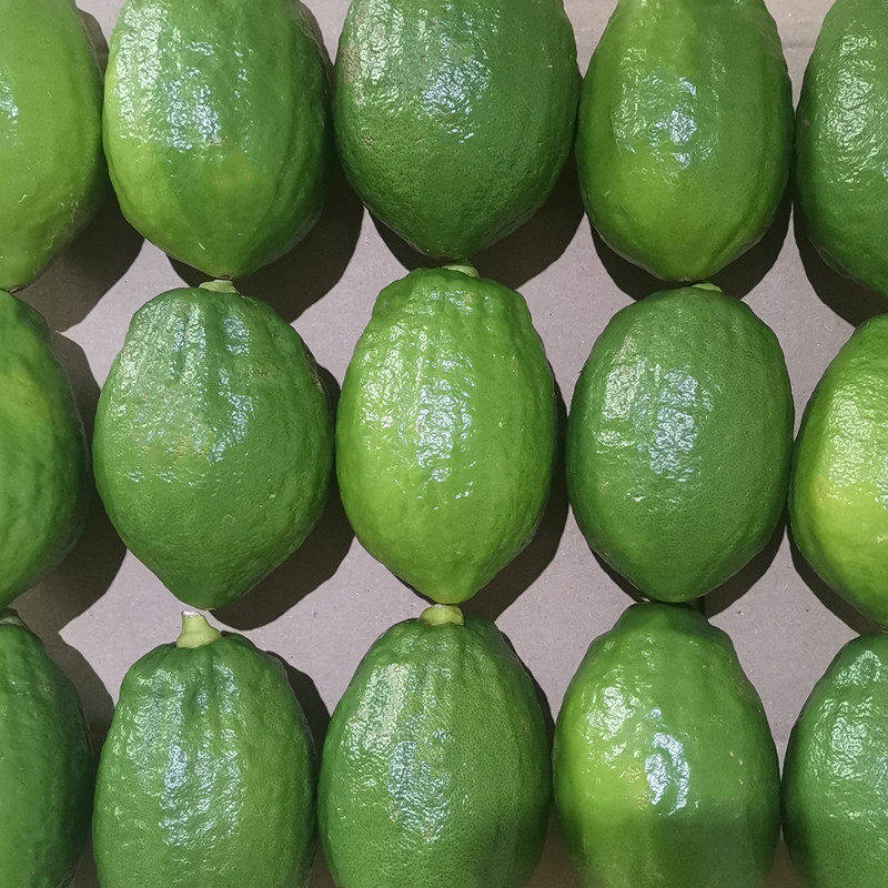 现摘广东香水青柠檬5斤青柠檬新鲜应当季大小水果皮薄多汁香柠檬,淘宝优惠券,粉丝福利购,淘宝优惠卷