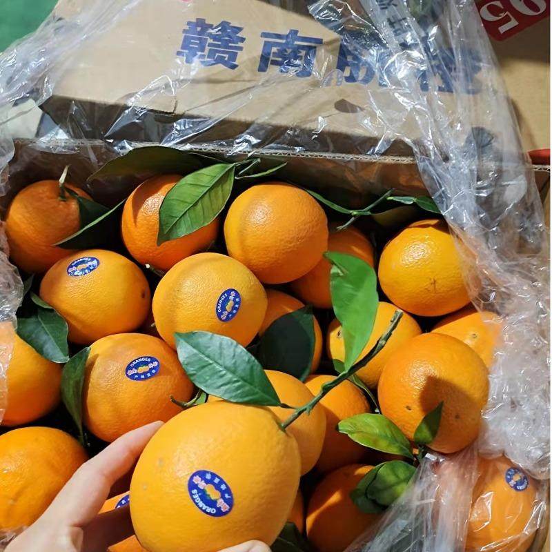 进口埃及脐橙10斤榨汁橙子当季新鲜水果整箱酸甜多汁香气好饮品店,淘宝优惠券,粉丝福利购,淘宝优惠卷