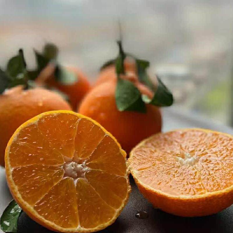 正宗临海涌泉蜜桔早熟宫川高山现摘现发当季橘子10斤包邮现货,淘宝优惠券,粉丝福利购,淘宝优惠卷