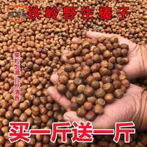 Monkey Trio Wild New Hazelnut 2 Catnip Send Clips Northeast Iron Ridge Original Taste Hazelnut Nuts 250 gr 500 gr